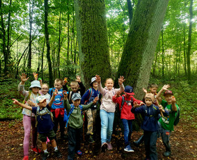 Žygiai vaikams, paaugliams, šeimoms su žaidimais miškuose / Robertas Janovskis / Darbų pavyzdys ID 3729703