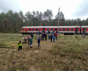 Žygiai vaikams, paaugliams, šeimoms su žaidimais miškuose / Robertas Janovskis / Darbų pavyzdys ID 3729751