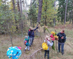Žygiai vaikams, paaugliams, šeimoms su žaidimais miškuose / Robertas Janovskis / Darbų pavyzdys ID 3729761