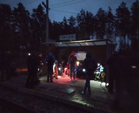 Žygiai vaikams, paaugliams, šeimoms su žaidimais miškuose / Robertas Janovskis / Darbų pavyzdys ID 3729773