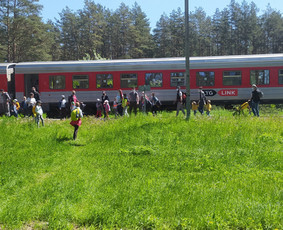 Žygiai vaikams, paaugliams, šeimoms su žaidimais miškuose / Robertas Janovskis / Darbų pavyzdys ID 3729775