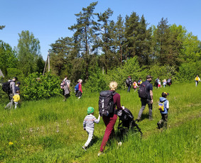 Žygiai vaikams, paaugliams, šeimoms su žaidimais miškuose / Robertas Janovskis / Darbų pavyzdys ID 3729779