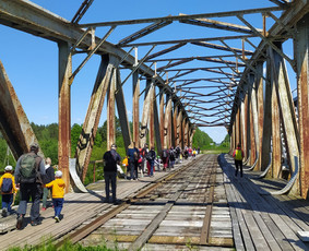 Žygiai vaikams, paaugliams, šeimoms su žaidimais miškuose / Robertas Janovskis / Darbų pavyzdys ID 3729781