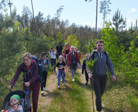 Žygiai vaikams, paaugliams, šeimoms su žaidimais miškuose / Robertas Janovskis / Darbų pavyzdys ID 3729797