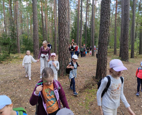 Žygiai vaikams, paaugliams, šeimoms su žaidimais miškuose / Robertas Janovskis / Darbų pavyzdys ID 3729809