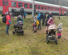 Žygiai vaikams, paaugliams, šeimoms su žaidimais miškuose / Robertas Janovskis / Darbų pavyzdys ID 3729753