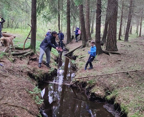 Žygiai vaikams, paaugliams, šeimoms su žaidimais miškuose / Robertas Janovskis / Darbų pavyzdys ID 3729839
