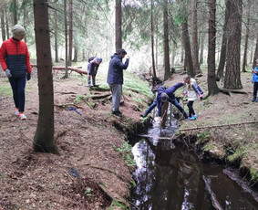 Žygiai vaikams, paaugliams, šeimoms su žaidimais miškuose / Robertas Janovskis / Darbų pavyzdys ID 3729841