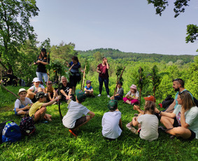 Žygiai vaikams, paaugliams, šeimoms su žaidimais miškuose / Robertas Janovskis / Darbų pavyzdys ID 3729859