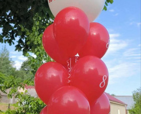 Balionų arkos, sienelės, fotozonos, helio balionai / Baliono Misija / Darbų pavyzdys ID 3730907