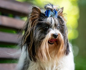 Fotografė Romana / Romana Tamulioniene / Darbų pavyzdys ID 3734671