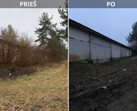 Sklypų tvarkymas: medžių ir krūmų pjovimas su išvežimu. / Albertas Rakuckis / Darbų pavyzdys ID 3734709