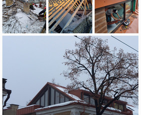 Kokybiškas stogų remontas / Stodengių Paslaugos / Darbų pavyzdys ID 3736429