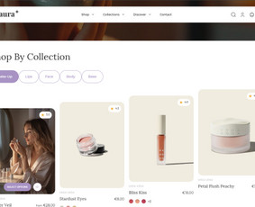 Internetinių Svetainių Kūrimas (Shopify) / SeoWebHub / Darbų pavyzdys ID 3738317