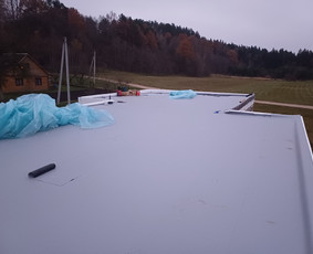 Plokščių ir šlaitinių stogų dengimas Pvc danga / Dinas / Darbų pavyzdys ID 3739551