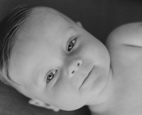 Jūsų švenčių / akimirkų / renginių fotografas / Povilas Liutkus / Darbų pavyzdys ID 3740995