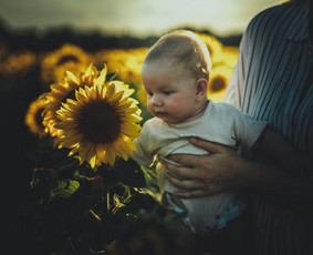 Jūsų švenčių / akimirkų / renginių fotografas / Povilas Liutkus / Darbų pavyzdys ID 3741015