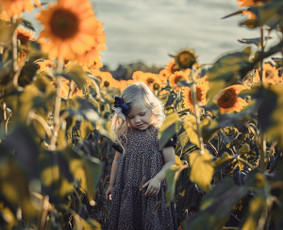 Jūsų švenčių / akimirkų / renginių fotografas / Povilas Liutkus / Darbų pavyzdys ID 3741017