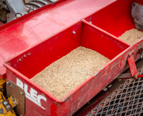 Vejos įrengimas ir atnaujinimas, hidrosėja, ruloninė veja - Aplinka, sodas - 2 Aplinka, sodas - Vejos įrengimas ir atnaujinimas, hidrosėja, ruloninė veja - 2