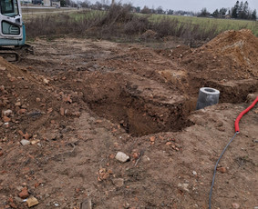 Mini ekskavatoriaus paslaugos, žolės pjovimas / Lukas / Darbų pavyzdys ID 3742855