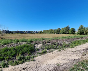 Žolės Pjovimas / Žemės darbai / Aplinkos priežiūra / MB Edtra / Darbų pavyzdys ID 3743997