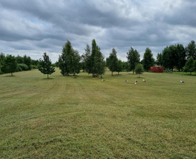 Žolės Pjovimas / Žemės darbai / Aplinkos priežiūra / MB Edtra / Darbų pavyzdys ID 3744009