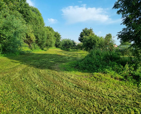 Žolės Pjovimas / Žemės darbai / Aplinkos priežiūra / MB Edtra / Darbų pavyzdys ID 3744011