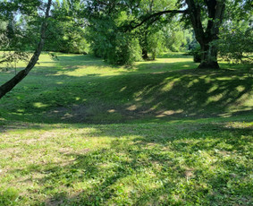 Žolės Pjovimas / Žemės darbai / Aplinkos priežiūra / MB Edtra / Darbų pavyzdys ID 3744021
