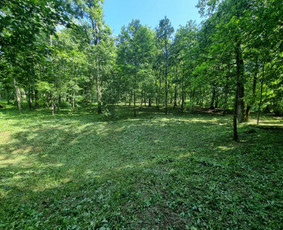 Žolės Pjovimas / Žemės darbai / Aplinkos priežiūra / MB Edtra / Darbų pavyzdys ID 3744023