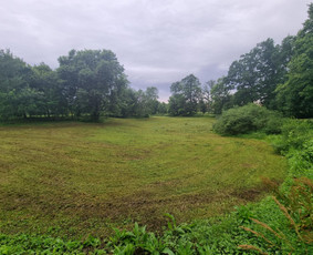 Žolės Pjovimas / Žemės darbai / Aplinkos priežiūra / MB Edtra / Darbų pavyzdys ID 3744027