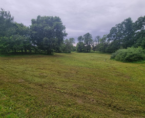 Žolės Pjovimas / Žemės darbai / Aplinkos priežiūra / MB Edtra / Darbų pavyzdys ID 3744029