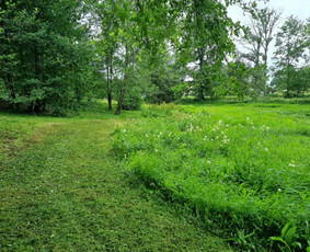 Žolės Pjovimas / Žemės darbai / Aplinkos priežiūra / MB Edtra / Darbų pavyzdys ID 3744031