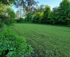 Žolės Pjovimas / Žemės darbai / Aplinkos priežiūra / MB Edtra / Darbų pavyzdys ID 3744495