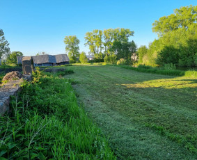 Žolės Pjovimas / Žemės darbai / Aplinkos priežiūra / MB Edtra / Darbų pavyzdys ID 3744497