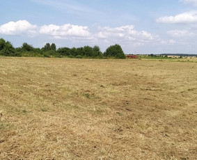 Žolės Pjovimas / Žemės darbai / Aplinkos priežiūra / MB Edtra / Darbų pavyzdys ID 3744501