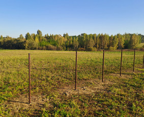Betonavimo darbai / MB Deimantinė statyba / Darbų pavyzdys ID 3744769