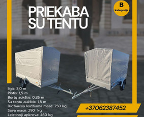 Platformos,traliuku ir priekabu nuoma Alytus ! / Platformu, traliuku ir priekabu nuoma / Darbų pavyzdys ID 3745873