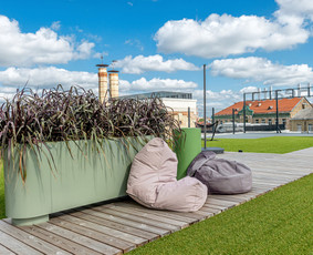 Augalų nuoma - Augalų Nuoma _ Augalų Dekoracijų Nuoma_renginių Dekoro Nuoma - 2