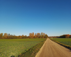 Obuolių sultys - Prekyba - 4 Prekyba - Obuolių sultys - 4