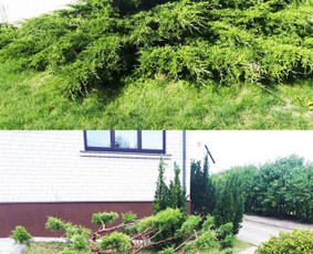 Apželdinimo paslaugos,projektų rengimas,aplinkos priežiūra / Žaliasis dizainas / Darbų pavyzdys ID 788553