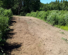 Operatyvus kelmų ir krūmų frezavimas visoje Lietuvoje ! - Šakų smulkinimas - 2 Šakų smulkinimas - Operatyvus kelmų ir krūmų frezavimas visoje Lietuvoje ! - 2