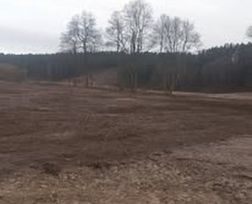 Operatyvus kelmų ir krūmų frezavimas visoje Lietuvoje ! / UAB Deforta / Darbų pavyzdys ID 3751731
