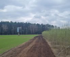 Operatyvus kelmų ir krūmų frezavimas visoje Lietuvoje ! / UAB Deforta / Darbų pavyzdys ID 3751735