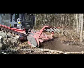 Operatyvus kelmų ir krūmų frezavimas visoje Lietuvoje ! / UAB Deforta / Darbų pavyzdys ID 3751769