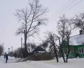 Arboristo paslaugos. Medžių pjovimas, kelmų naikinimas - Avarinių medžių pjovimas - 1 Avarinių medžių pjovimas - Arboristo paslaugos. Medžių pjovimas, kelmų naikinimas - 1