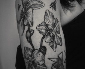 Tatuiruotės / Simona Sokolova / Darbų pavyzdys ID 3751929