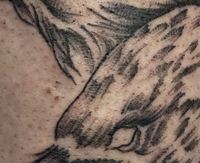 Tatuiruotės / Simona Sokolova / Darbų pavyzdys ID 3751965