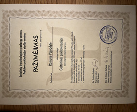 Psichologinė, emocinė pagalba - Psichoterapinės konsultacijos - 1