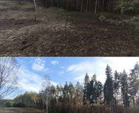 Visi Žemės kasimo darbai kelių, takelių įrengimas - Melioracija - 1 Melioracija - Visi Žemės kasimo darbai kelių, takelių įrengimas - 1