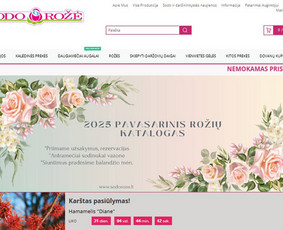 Interneto svetainės, parduotuvės ir verslo valdymo sistemos. / Networkas / Darbų pavyzdys ID 3753163